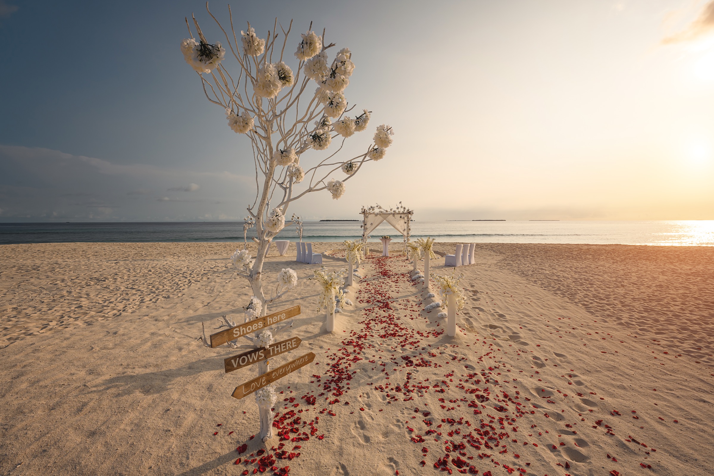 Siyam World Maldives Weddings 2026: Every Package, Every Inclusion, Real Prices