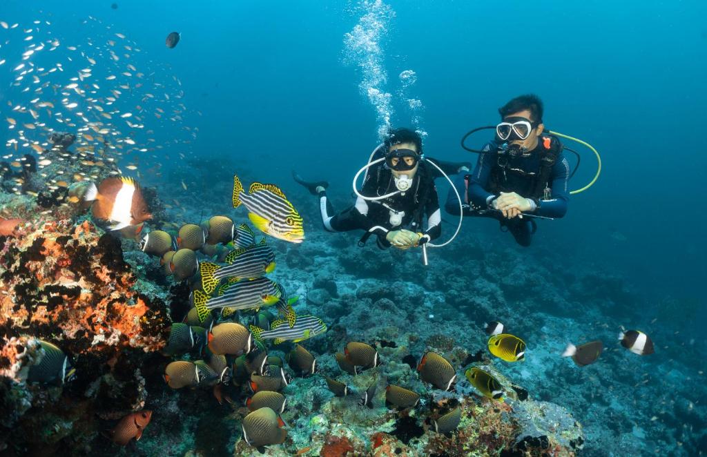 Bandos Maldives Diving Adventure