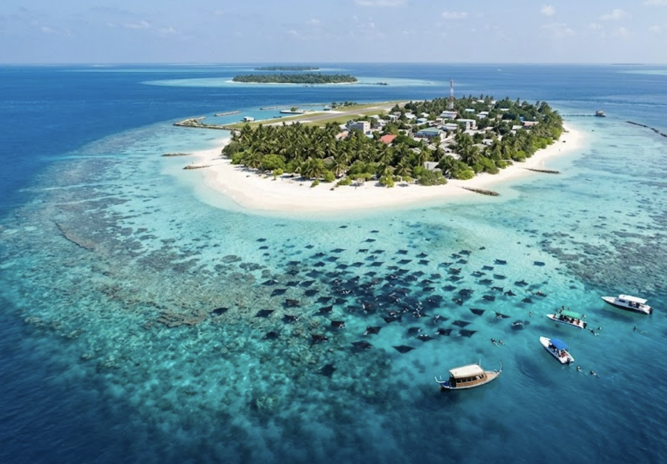 Dharavandhoo Island Stay with Manta Snorkel