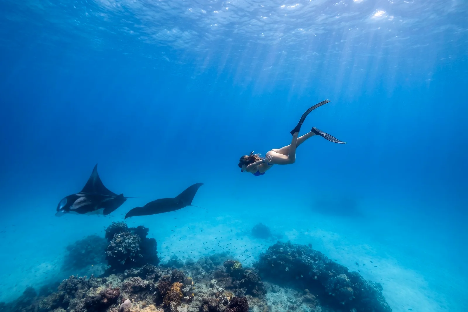 Hanifaru Bay Manta Twin-Stay: Dimora Blu, Dharavandhoo + Baa Atoll Resort